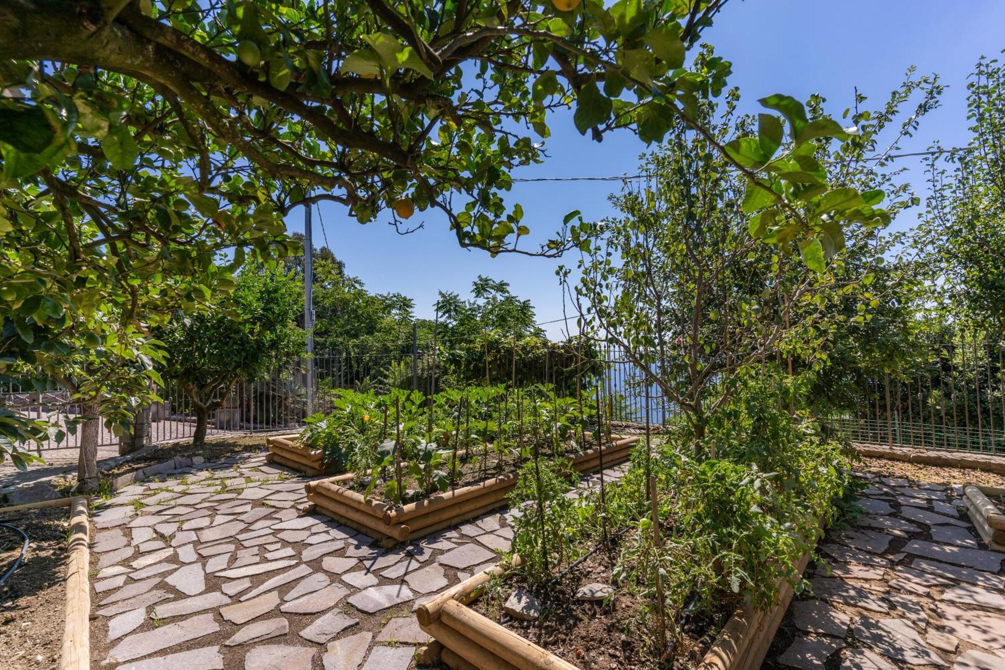 Villa Solatia Massa Lubrense Εξωτερικό φωτογραφία