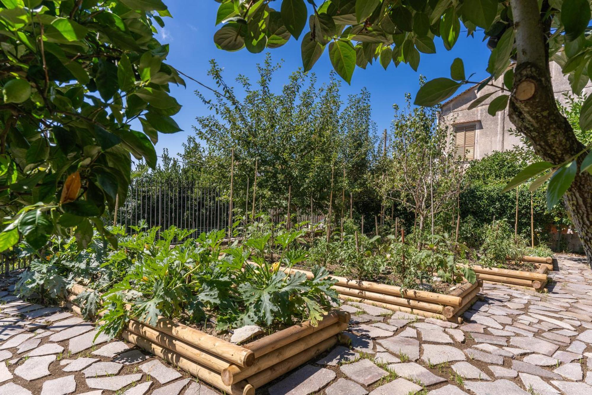 Villa Solatia Massa Lubrense Εξωτερικό φωτογραφία